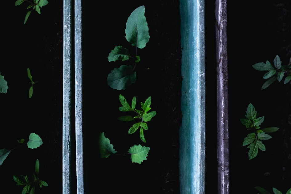Scaling Your Business with QuickGrow